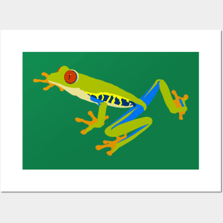 Red-Eyed Treefrog Posters and Art